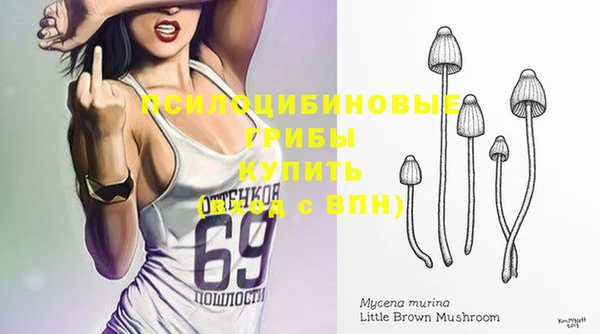 стафф Бугульма