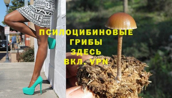 мдпв Богородск
