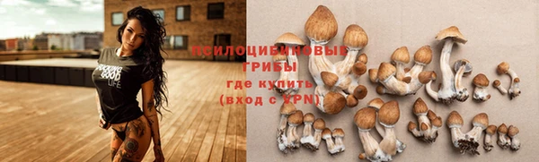мдпв Богородск