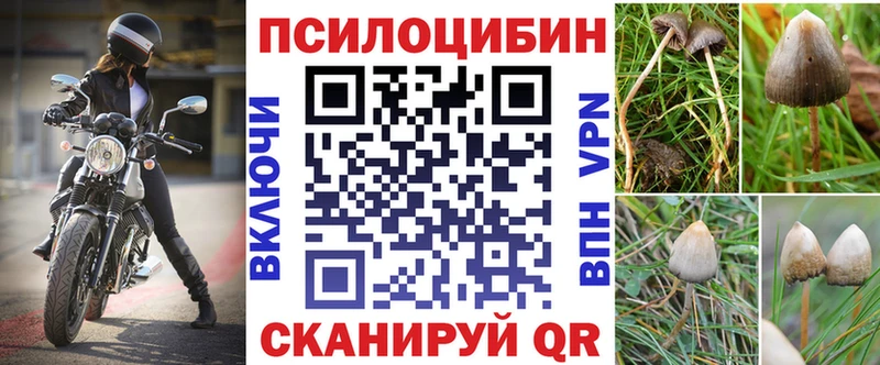 купить закладку  Великий Устюг  Галлюциногенные грибы мицелий 